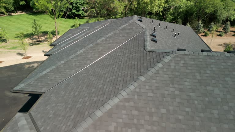 Best Sheet Metal Roofing  in Waawa, HI